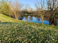 Imagine atasata: aaa (8).jpg